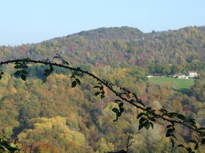 La valle au coulleurs d'automne