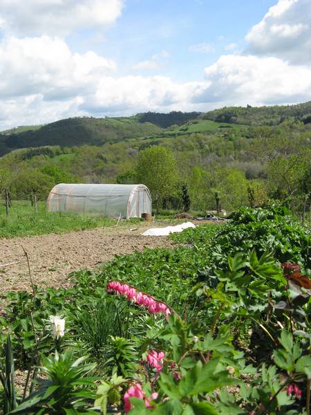 Le jardin au printemps